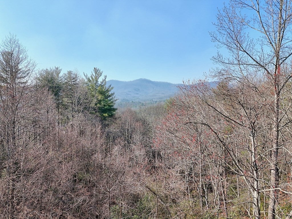 Listing photo for 441 Golden Eagle, Murphy, NC