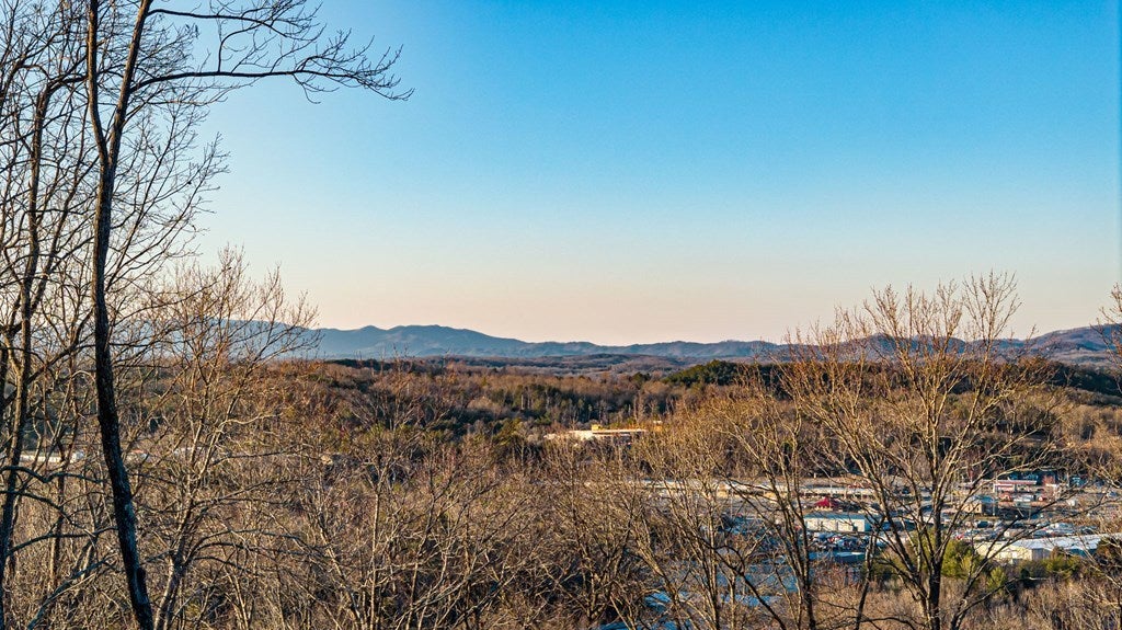 Listing photo for 217 Eagles Nest Lane, Blue Ridge, GA