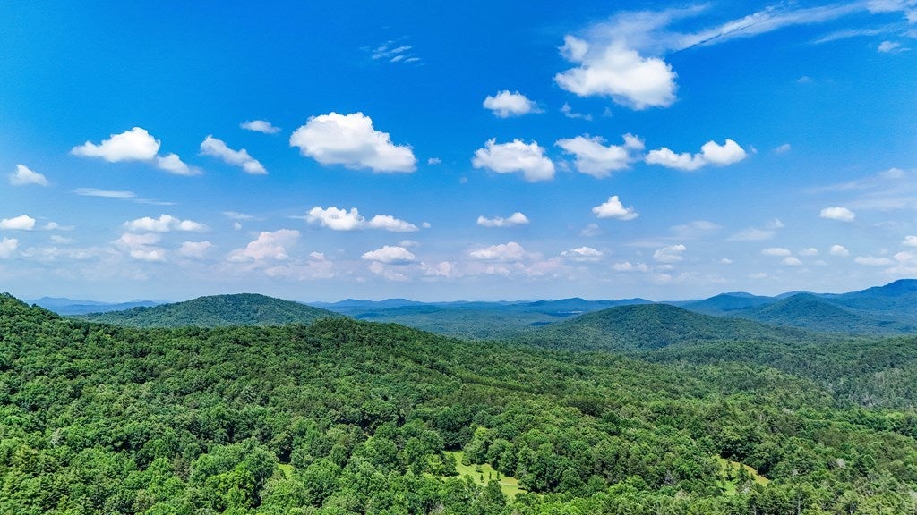 Listing photo for 845 Harrison & Ada Road, Blue Ridge, GA
