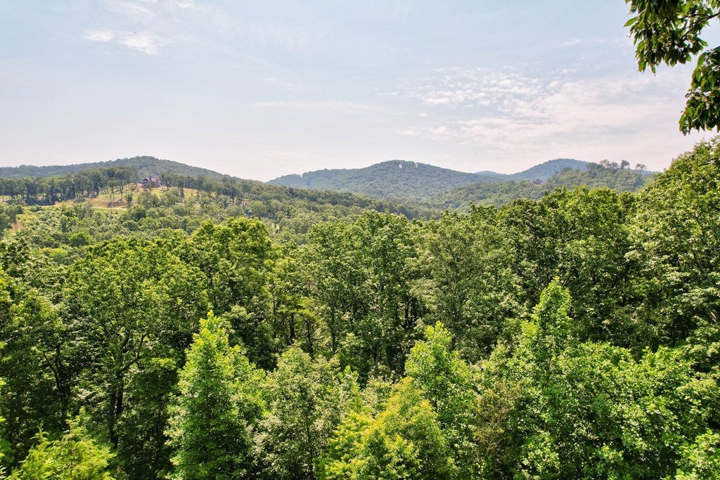 Listing photo for 1241 Heatherwood Way, Talking Rock, GA