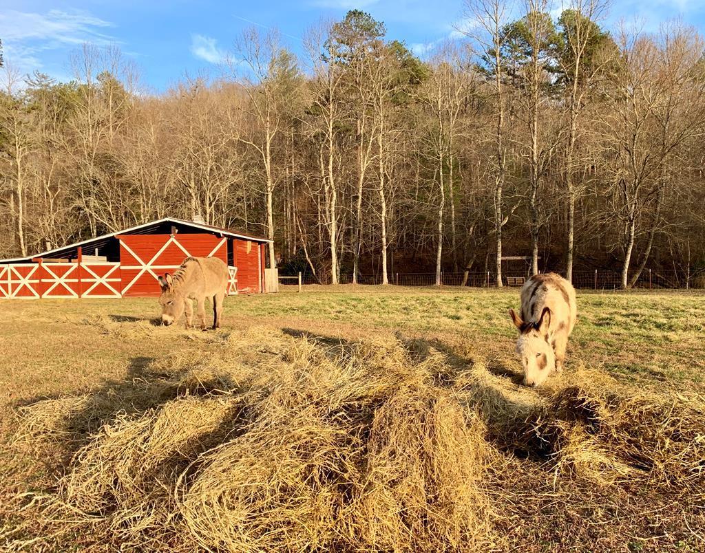 138 Wolf Creek Estates, Mineral Bluff