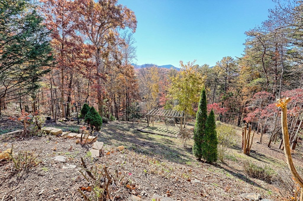 Listing photo for 4749 Timberline Sunset Drive, Young Harris, GA