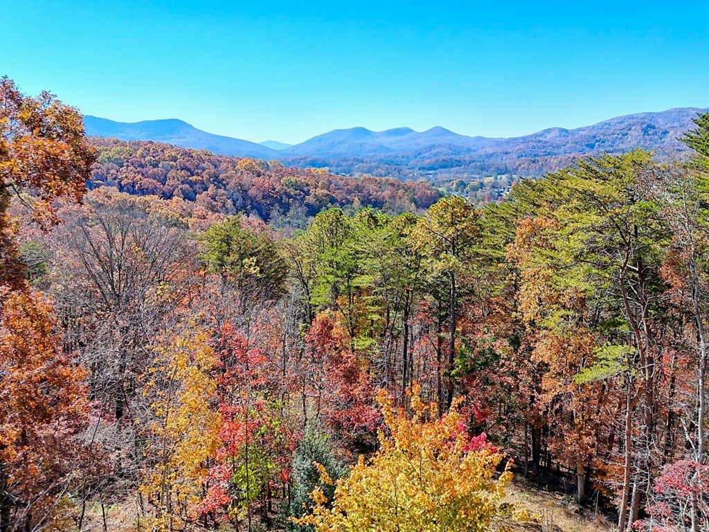 Listing photo for 4749 Timberline Sunset Drive, Young Harris, GA