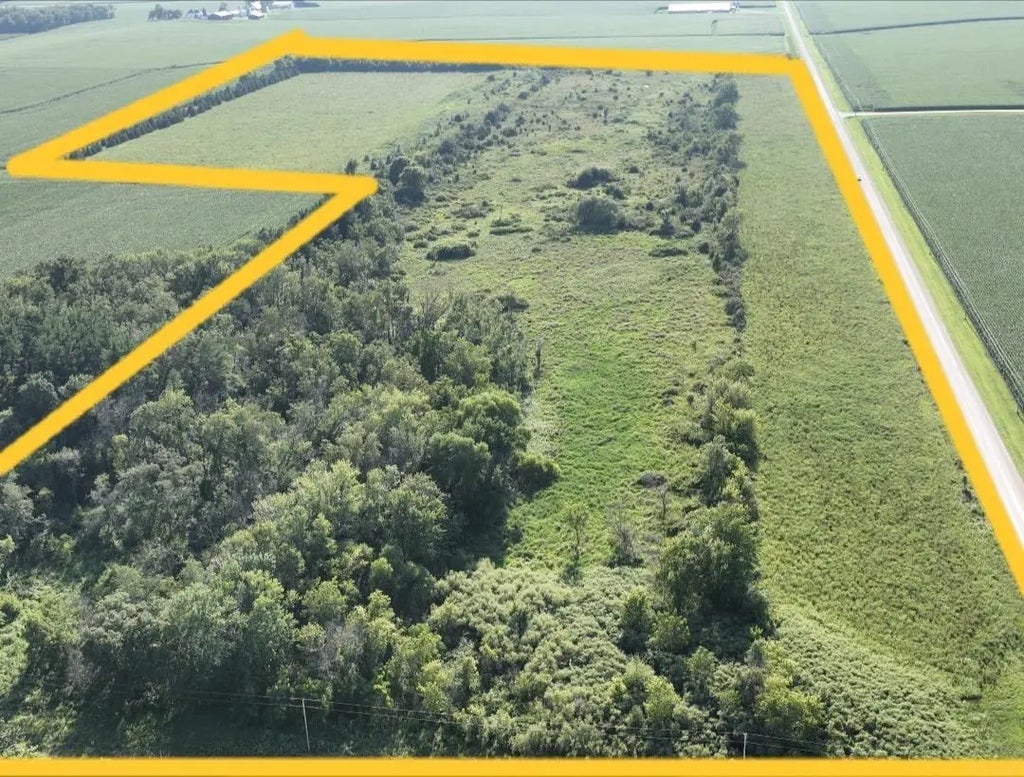 1269 Vanderbilt Avenue, Lawler