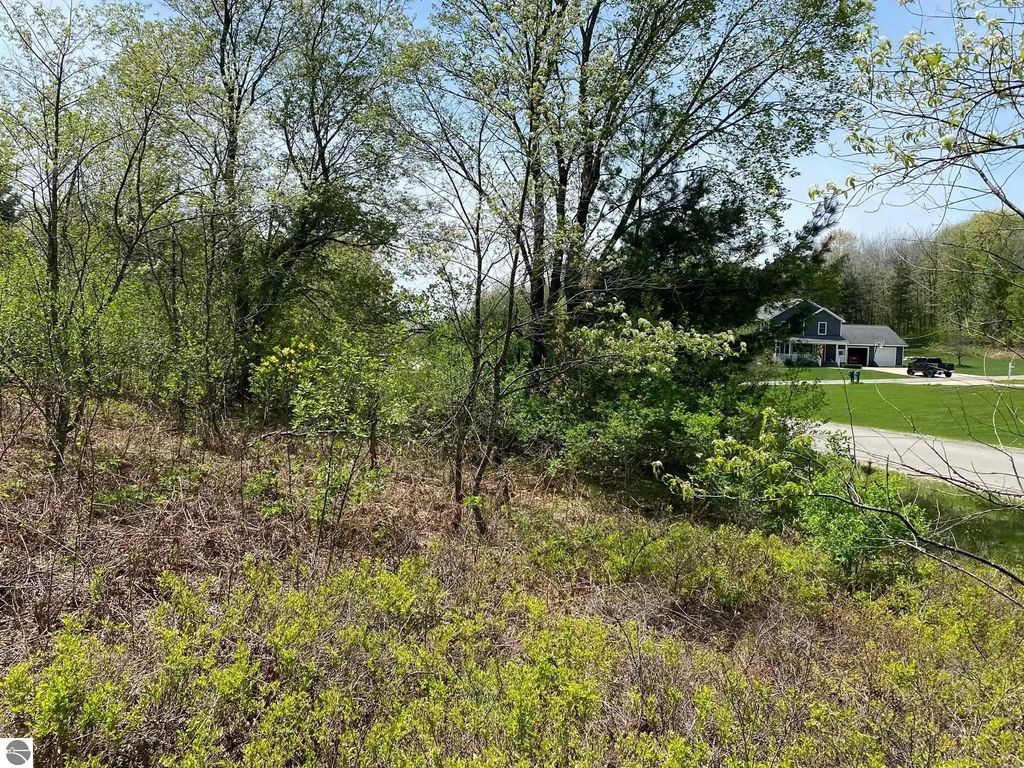 Crestview Drive, Cadillac