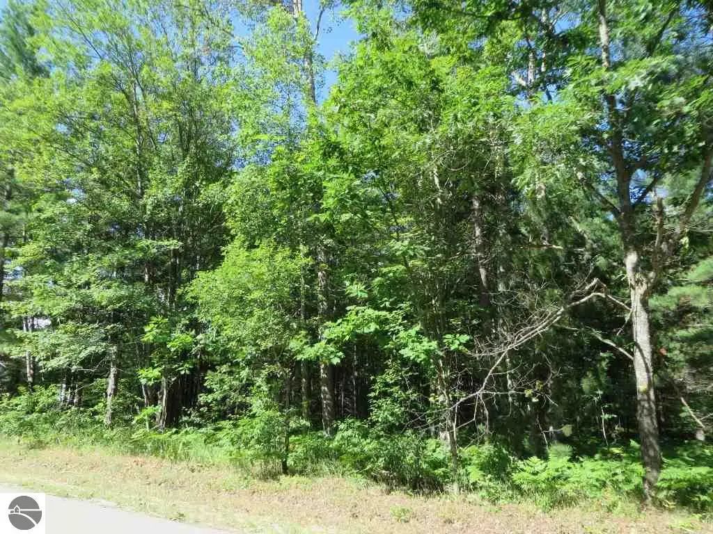 2043 E Log Lake Road, Kalkaska