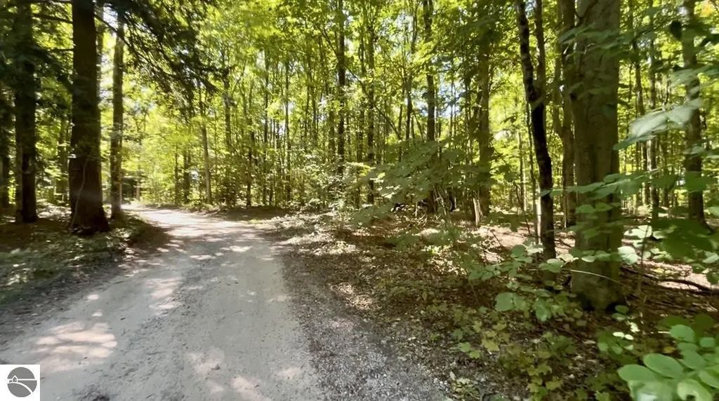 Langs Lane, Interlochen