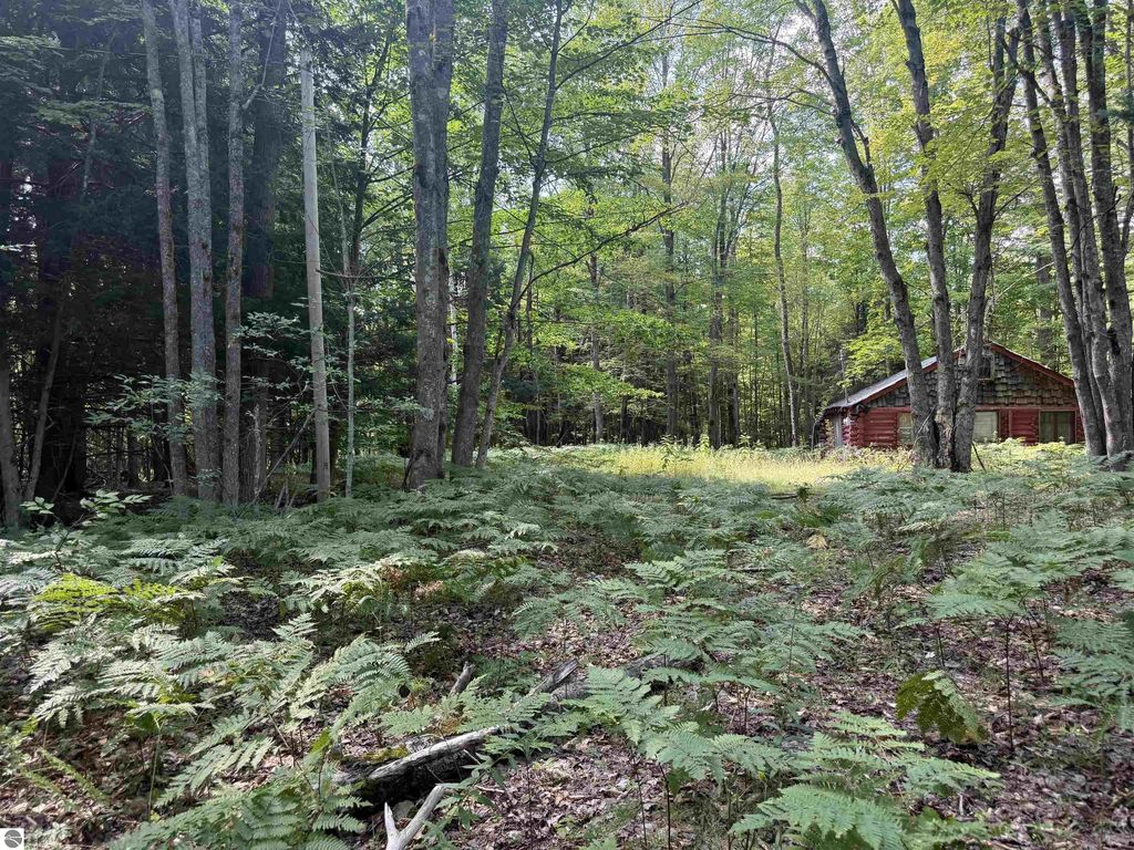 11712 Henschell Road, Fife Lake