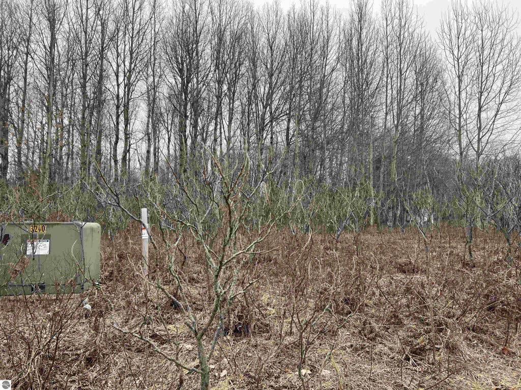 Lot 20 Crestview Drive, Cadillac