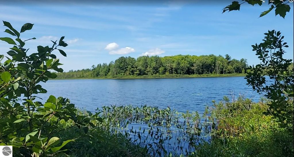 457 Ne Lake Drive, Kalkaska
