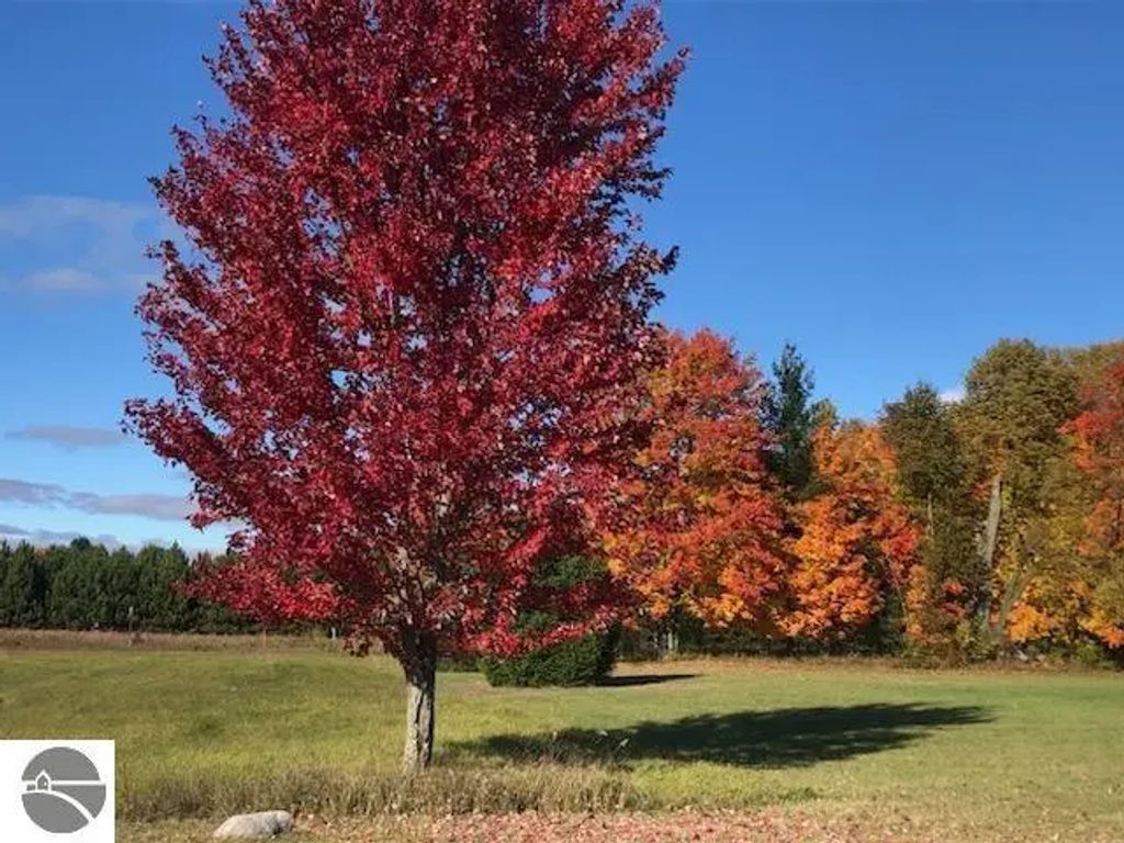 Lot 17 Powell Drive, Cadillac