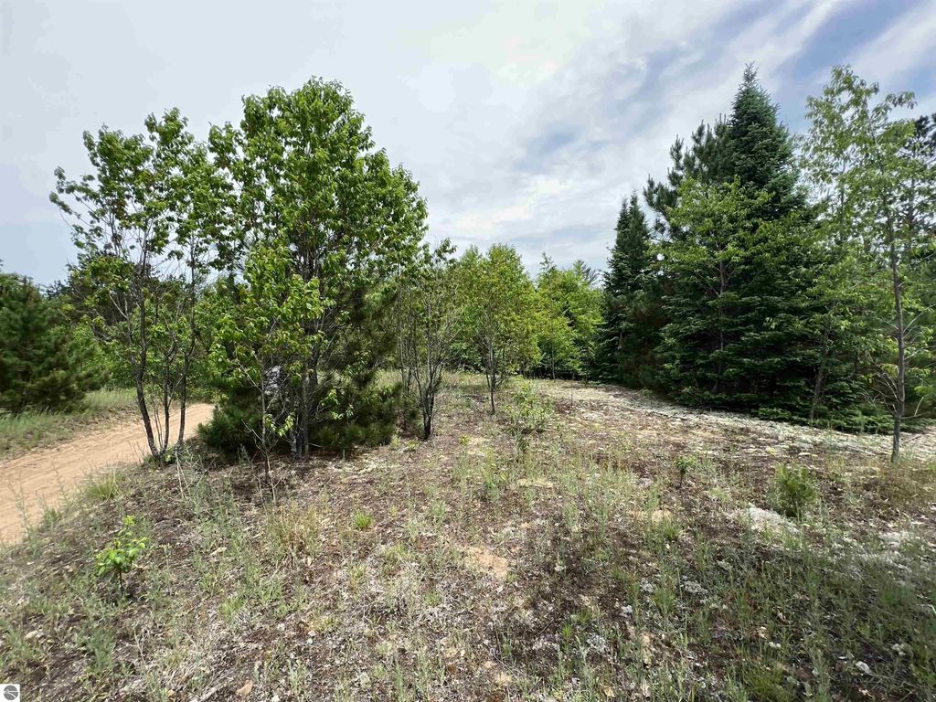 5 Acres Little Lane, Kalkaska
