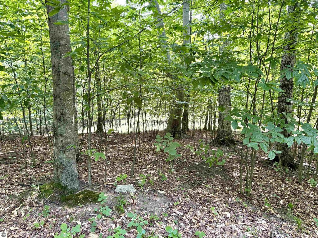 15 S Mistys Trail, Empire