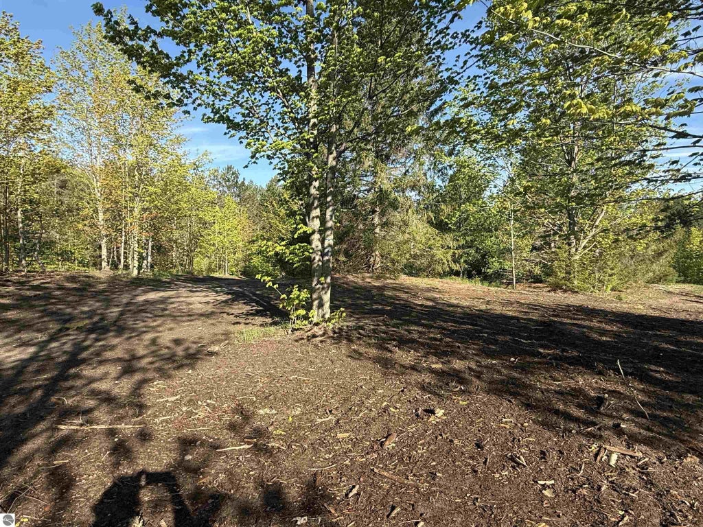 1007 E Solaris Way, Maple City