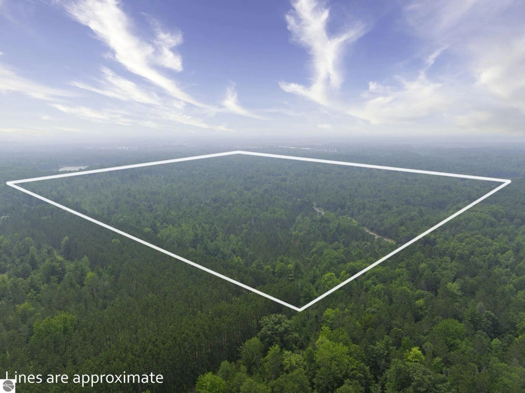 Shady Lane, Kalkaska