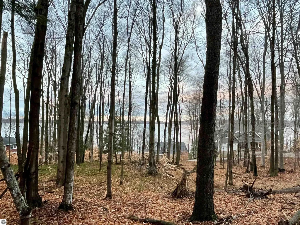 00 Treetops Lane, Frankfort