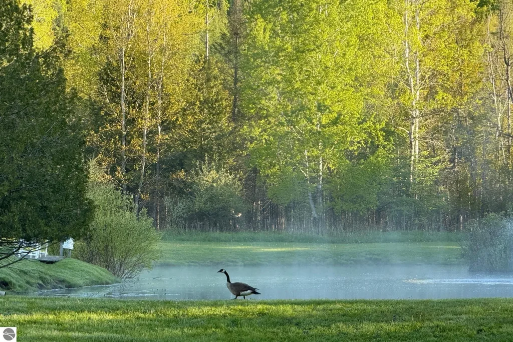 8401 S Sullivan Road, Cedar