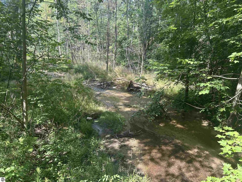 Parcel 2 S M-88, Bellaire