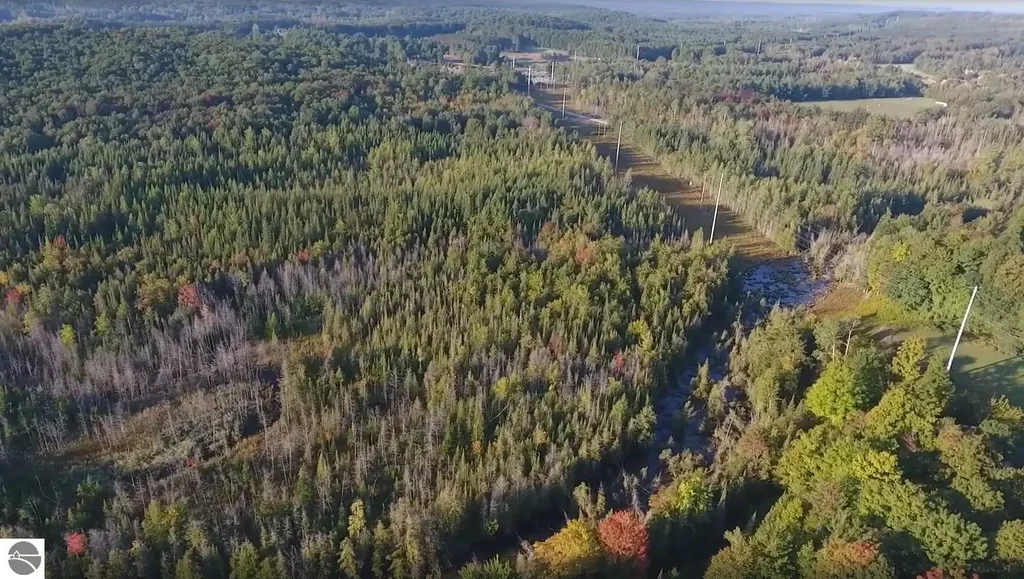 Lots A & B Schuss Mountain Road, Mancelona