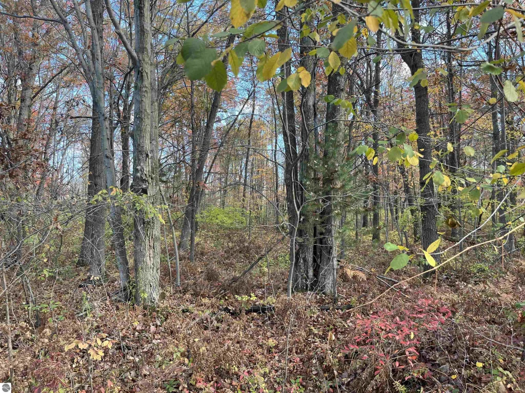 Nka Husak Road, Omer