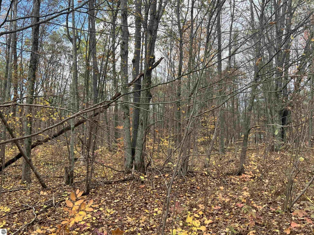 000 Wildwood Shores Drive, Kalkaska