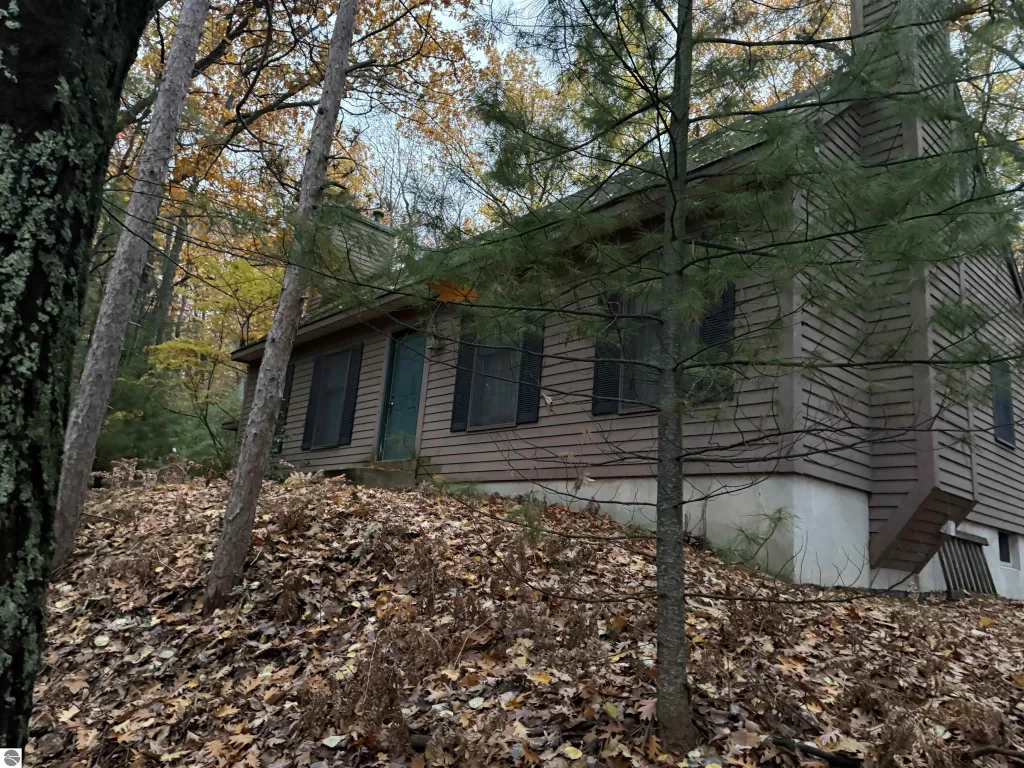 4545 Paper Birch, Traverse City