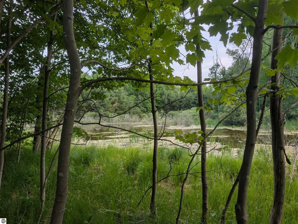 20047 Davis Lake Road, Traverse City