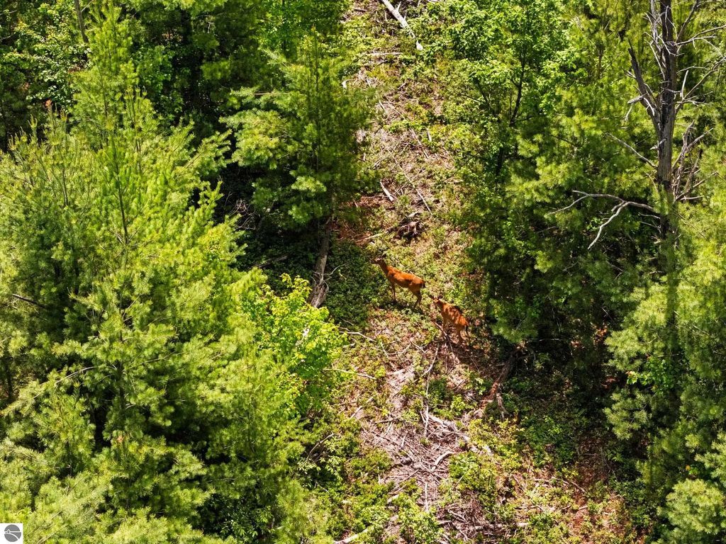 4011 W Forest Road, Lake City