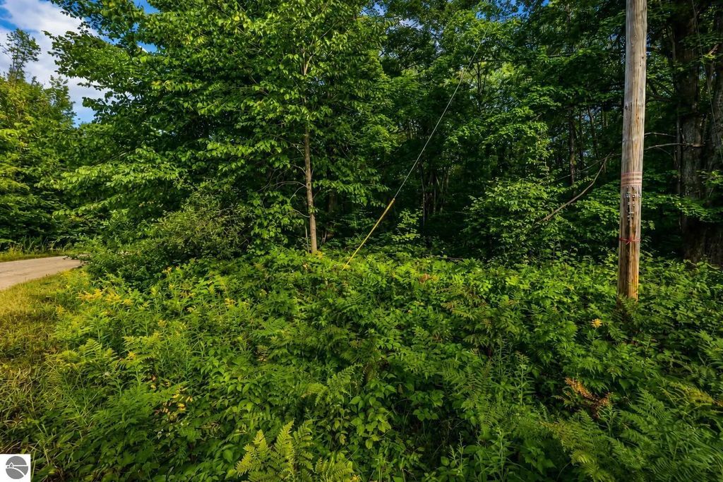 Tbd Timberline Drive, Elmira