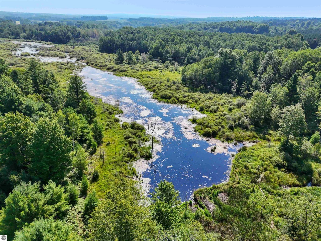 40 Acres Truesdale Road, Manton