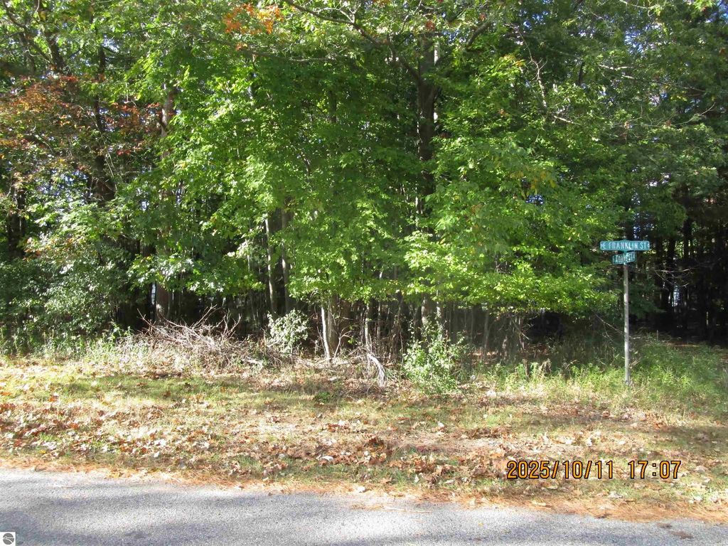 E Franklin Street, East Tawas