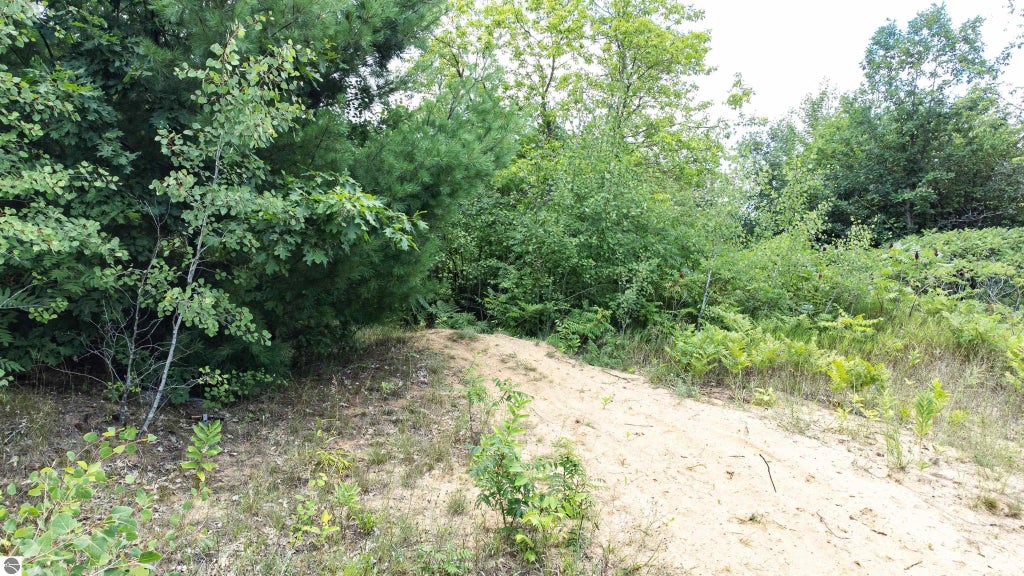 V/l Huston, Cadillac