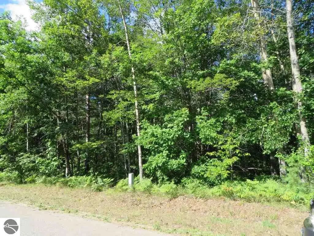2089 E Log Lake Road, Kalkaska