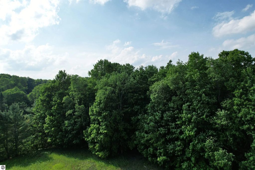 33 W 20 Road, Mesick