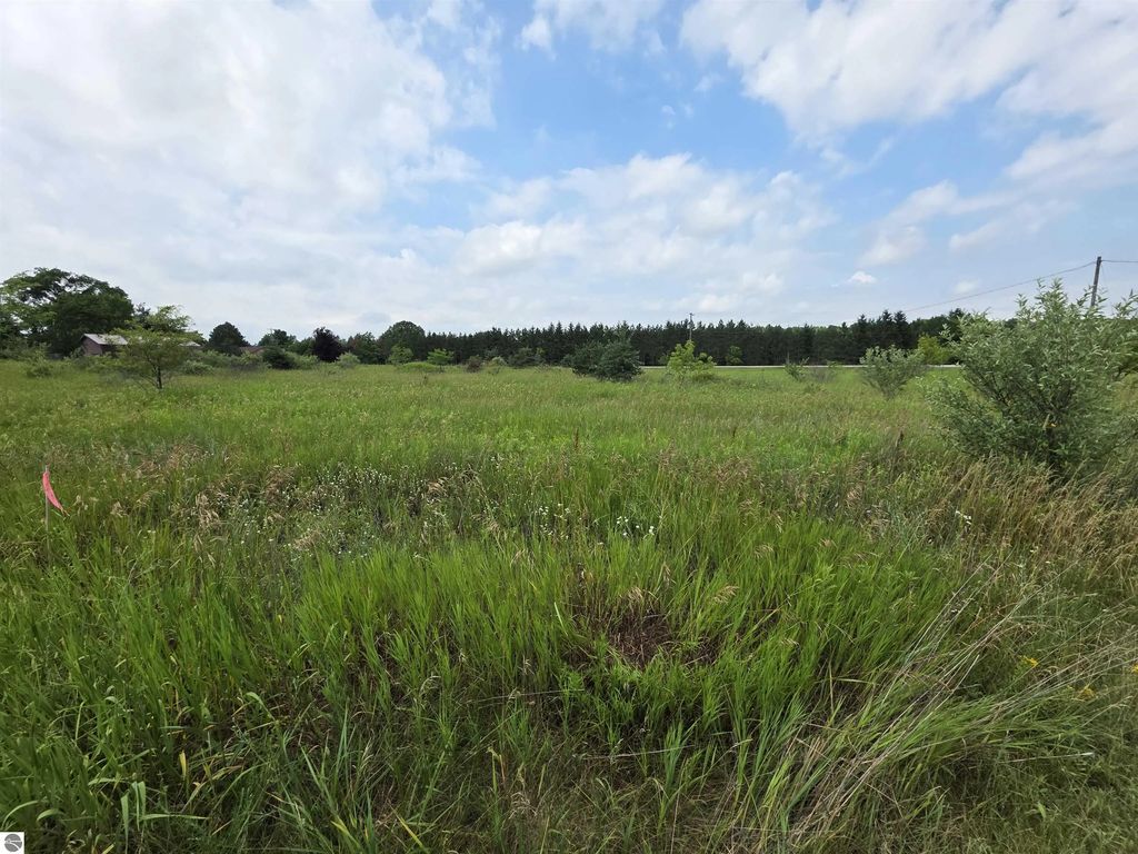 Tbd W Remus Road, Mt Pleasant