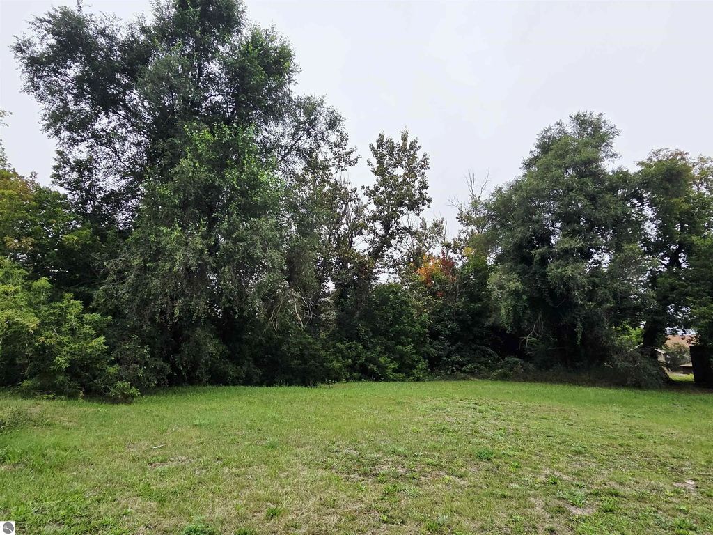 207 Alger Court, Grayling