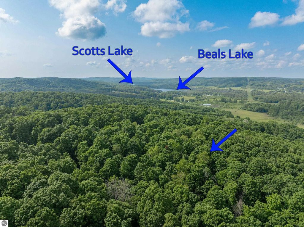 891 N Skinkle Road, East Jordan