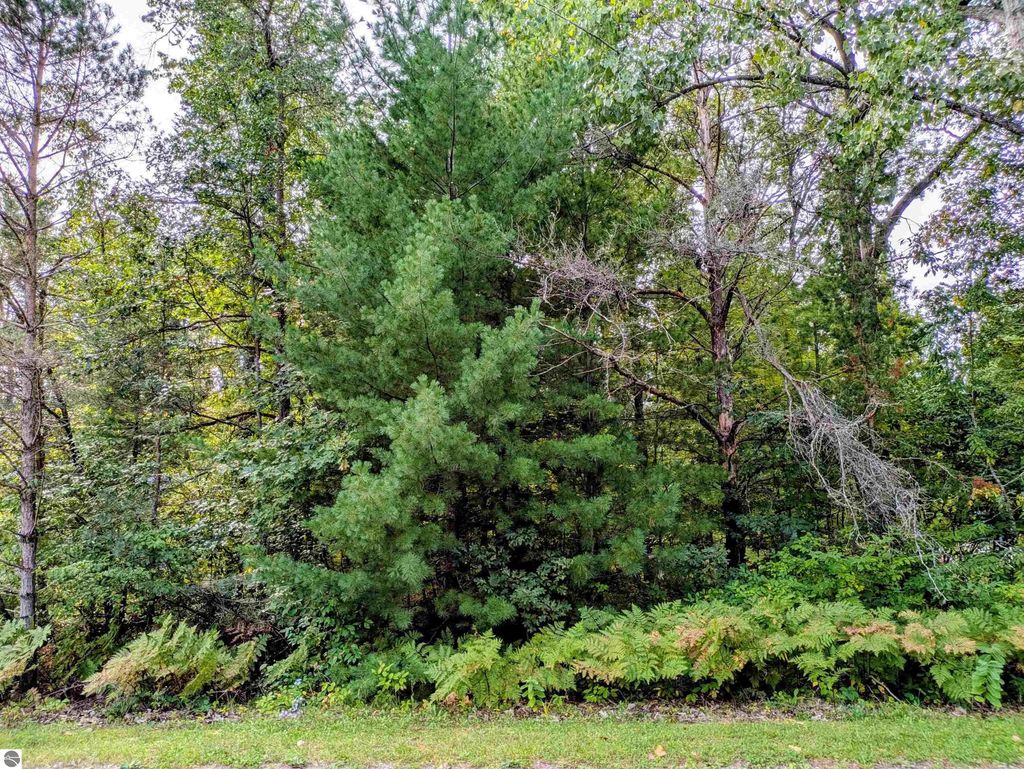 S Forest Lake Drive, Alger