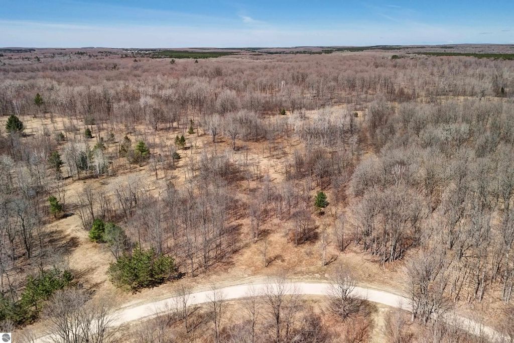 171 Ne Kleehammer Club Drive, Kalkaska
