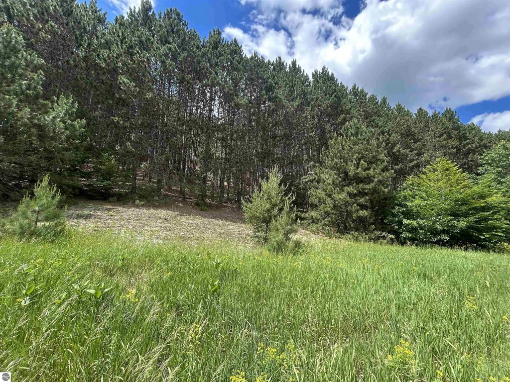 Parcel 6 Wildwood Trail, Mancelona