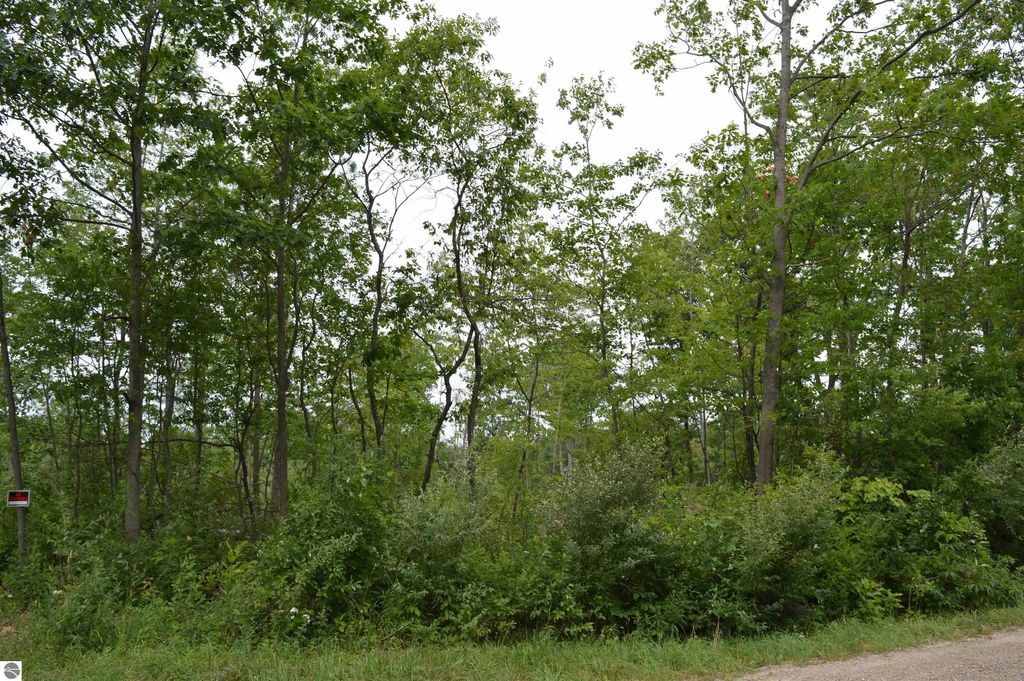 Fisher Road, Traverse City