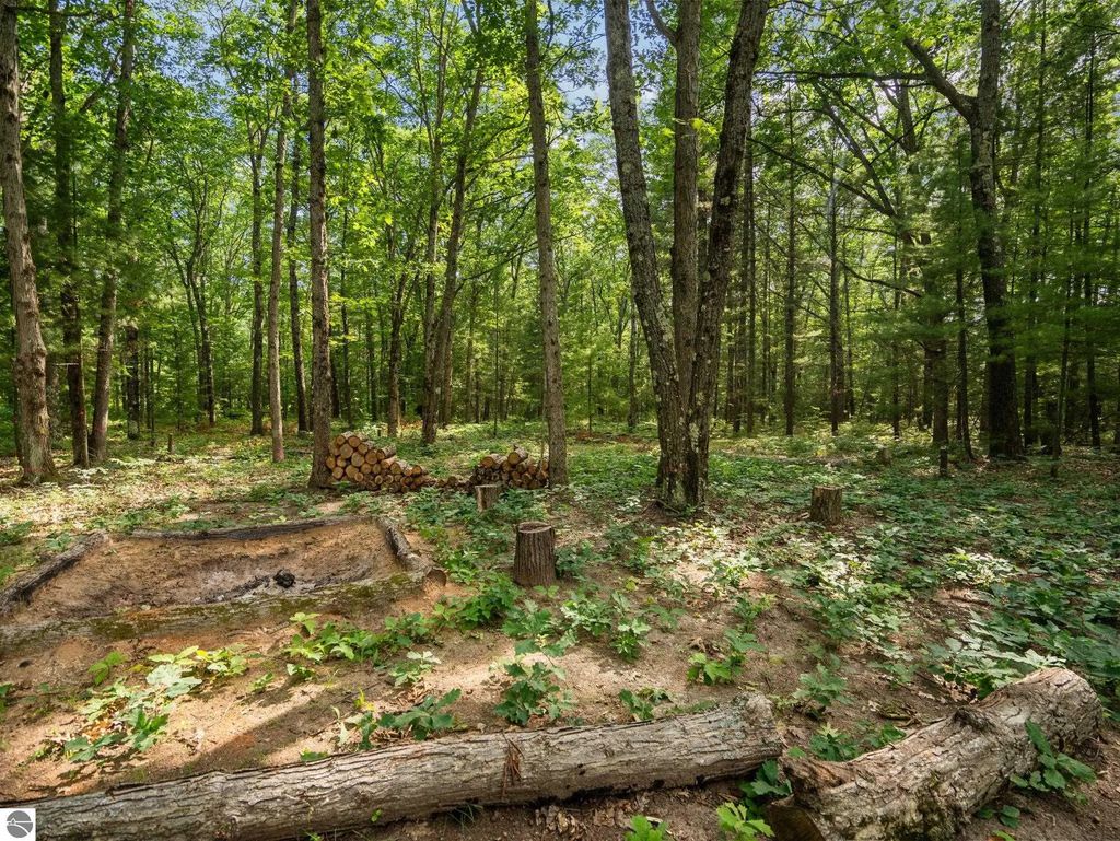 Lots 137 & 138 Tabor Avenue, Interlochen
