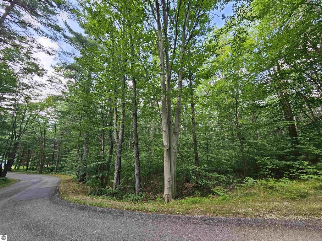 Lot 45 Woodwind Drive, Cadillac