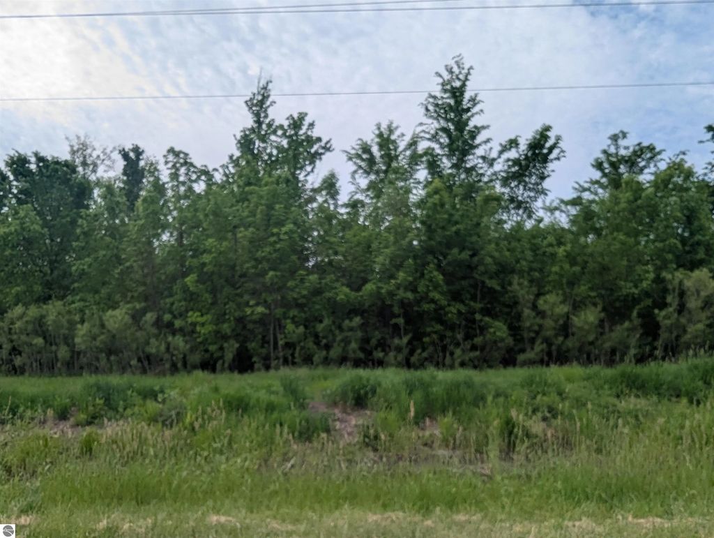 N/a Twining Road, Au Gres