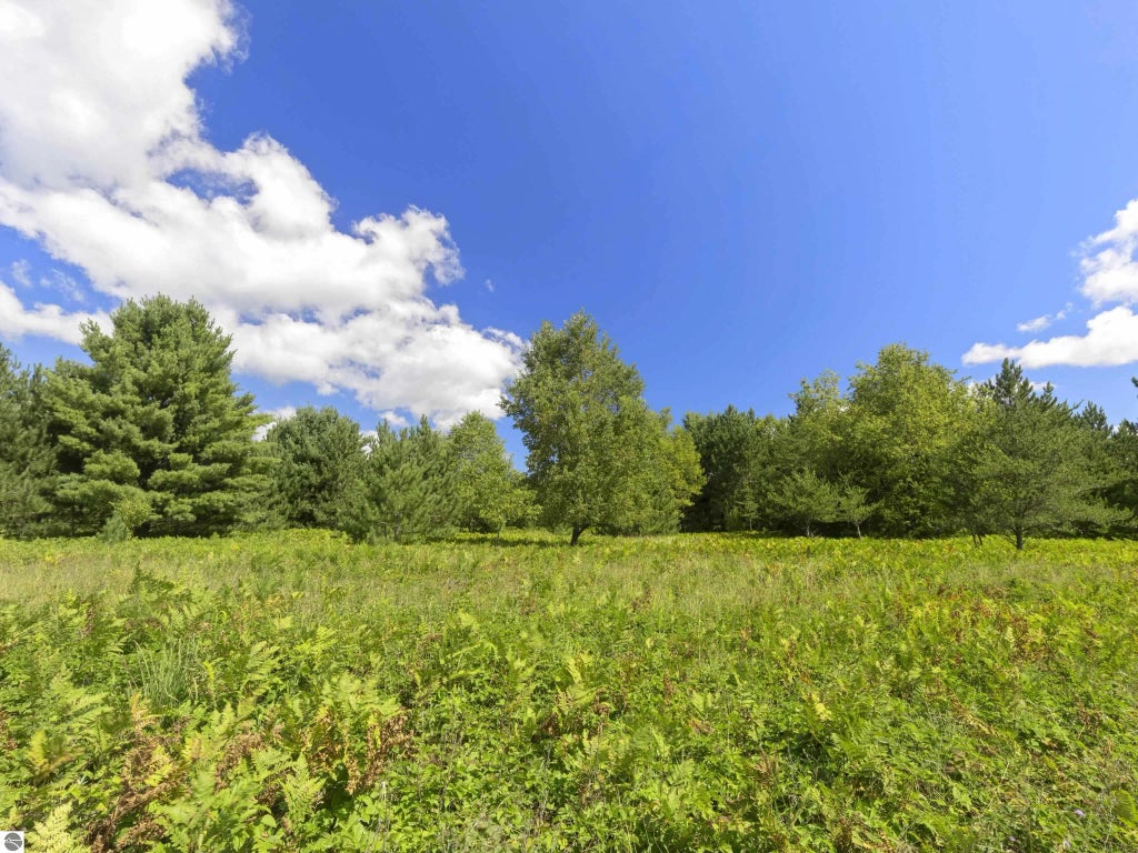 15 Acres Wallin Road, Thompsonville