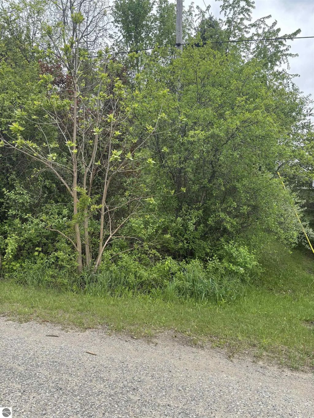 Lot 49 Leona Drive, Mt Pleasant