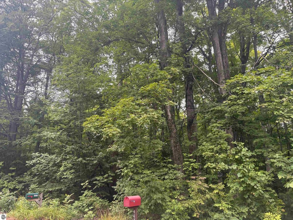 S Hemlock Road, Cedar