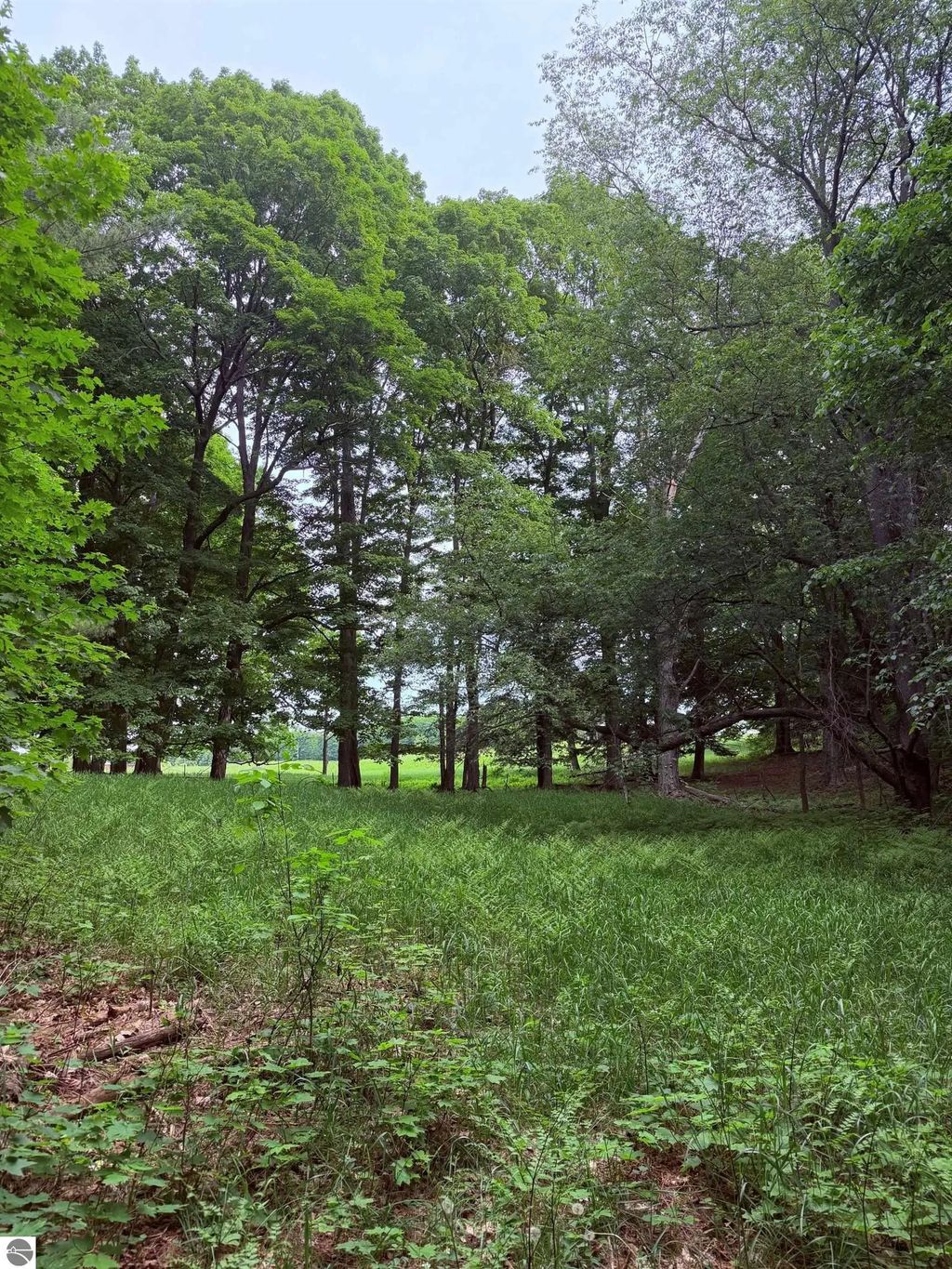 Unit 11 Kadi Lane, Lake Ann
