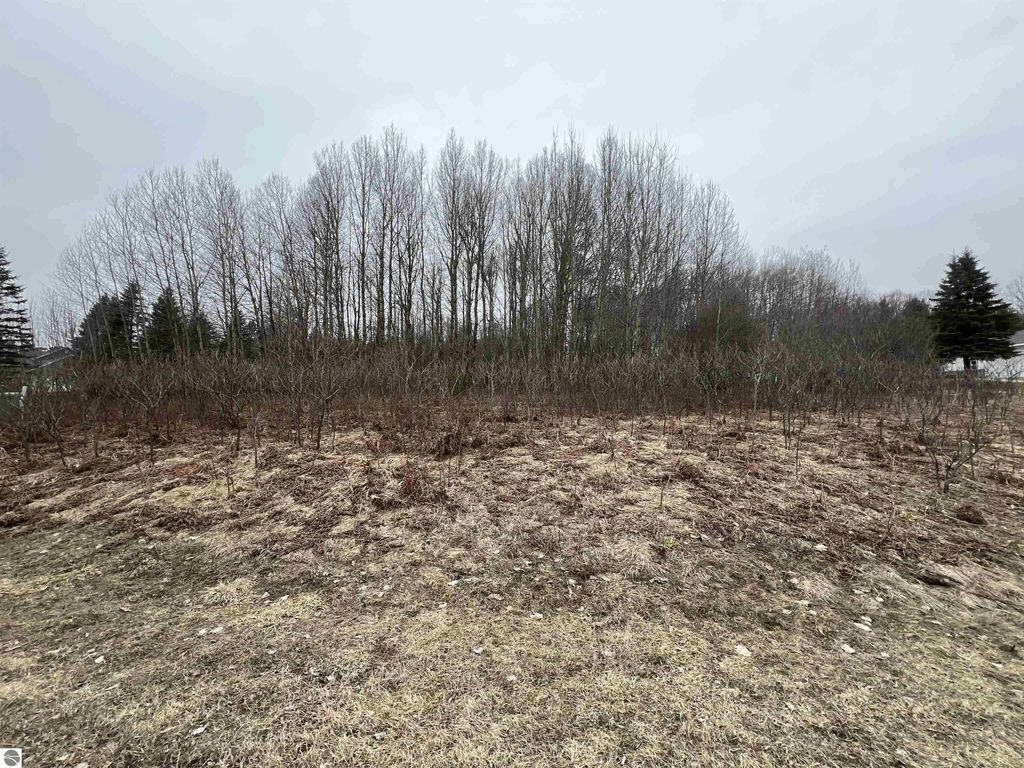 Lot 19 Crestview Drive, Cadillac