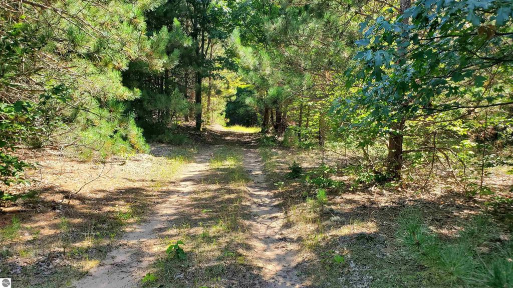 Marilla Road, Copemish